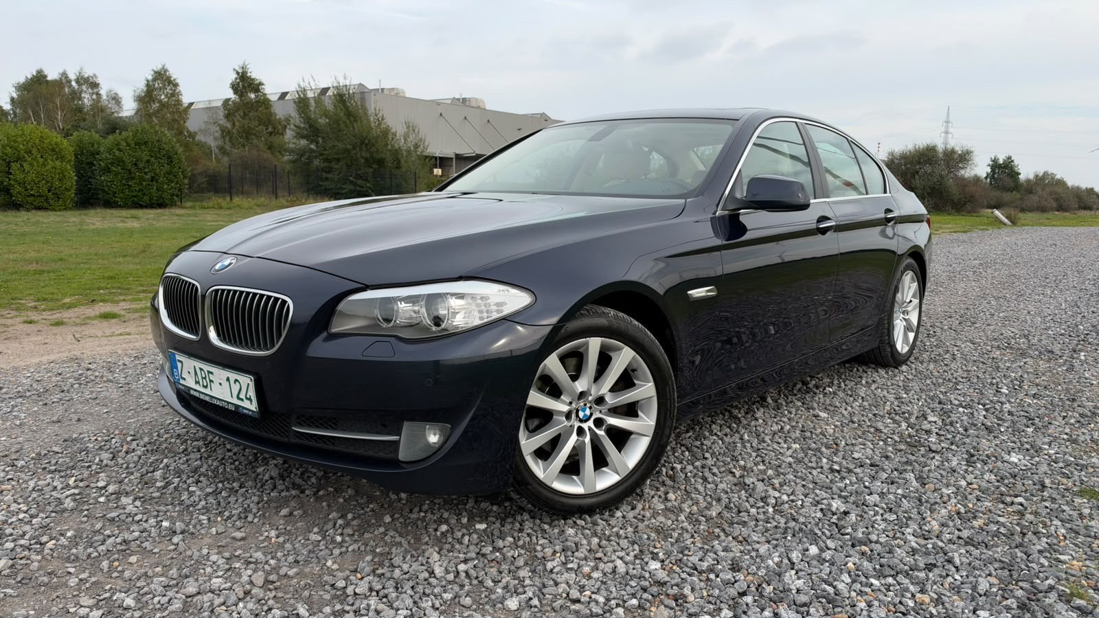 BMW 520D AUTOMAAT, Auto's, Automaat, 1995 cc, Beige, Blauw