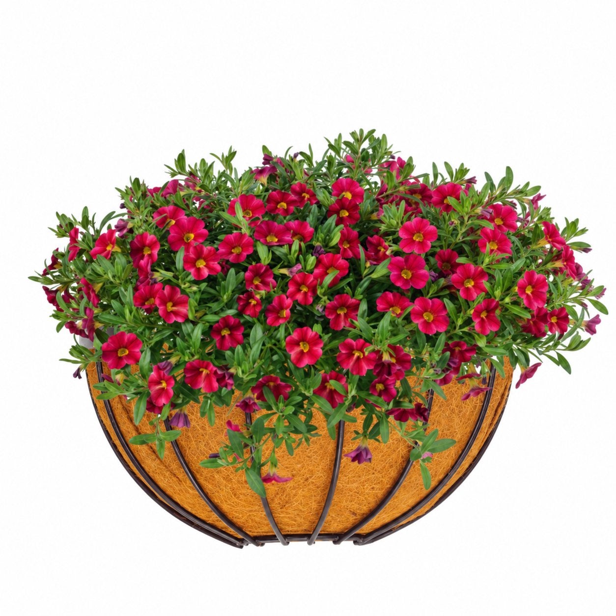 Grande jardiniere, Enlèvement, Comme neuf