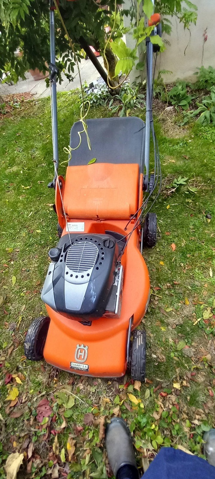 Grasmaaier op benzine, Ophalen, Cirkelmaaier, Opvangbak, Benzine-grasmaaier