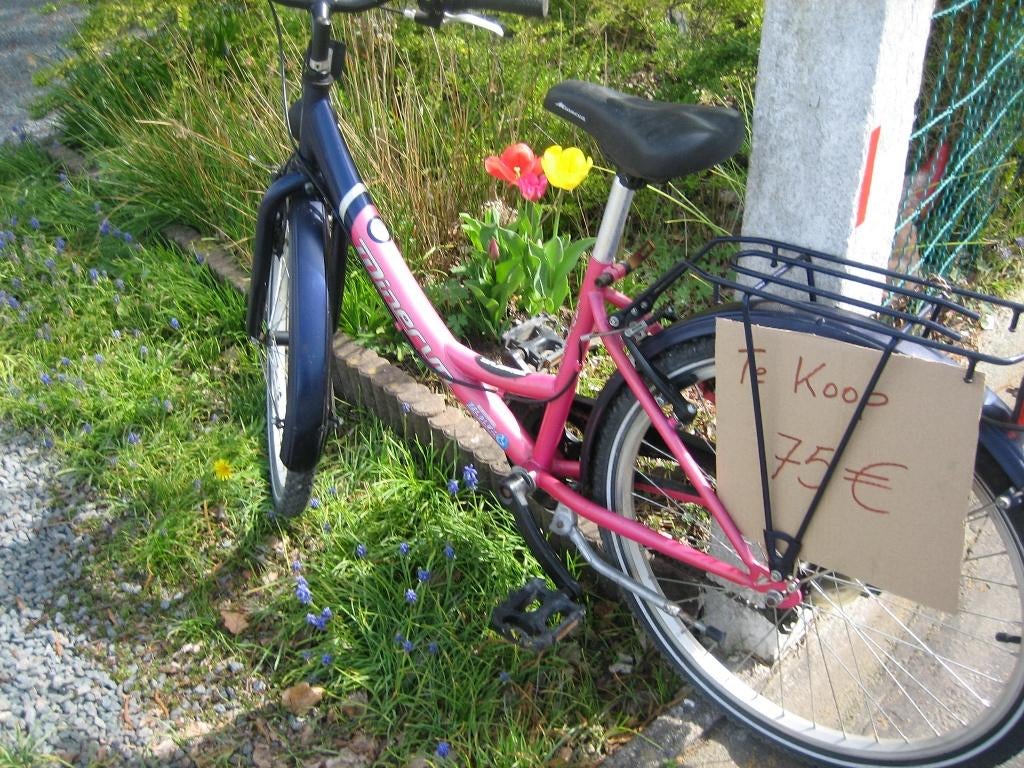 meisjesfiets ongeveer voor 10 jaar, Ophalen, Minerva, Versnellingen