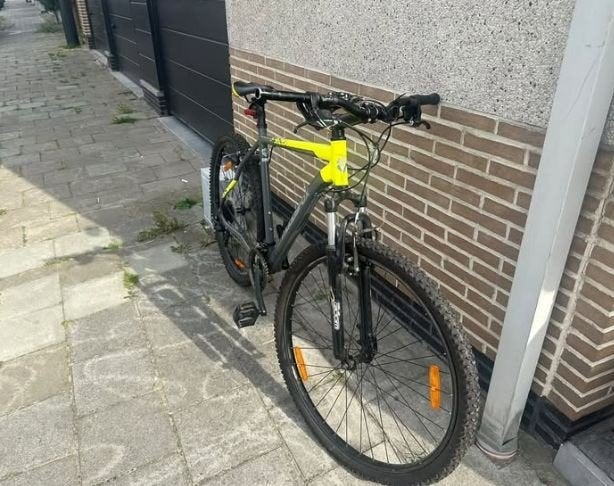 MUDDYFOX, Enlèvement, Suspension