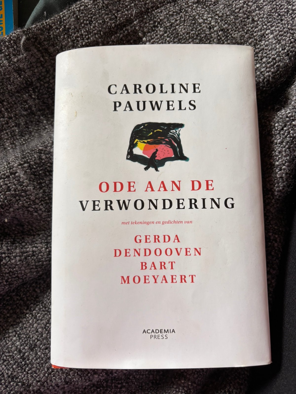 Caroline Pauwels - Ode to wonder - nouvelle édition, Enlèvement ou Envoi, Caroline Pauwels