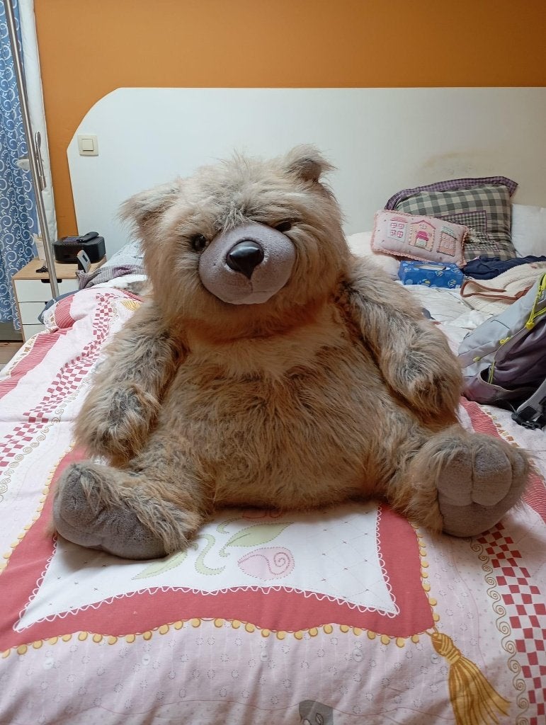 nounours, Comme neuf, Ours, Gris, Enlèvement