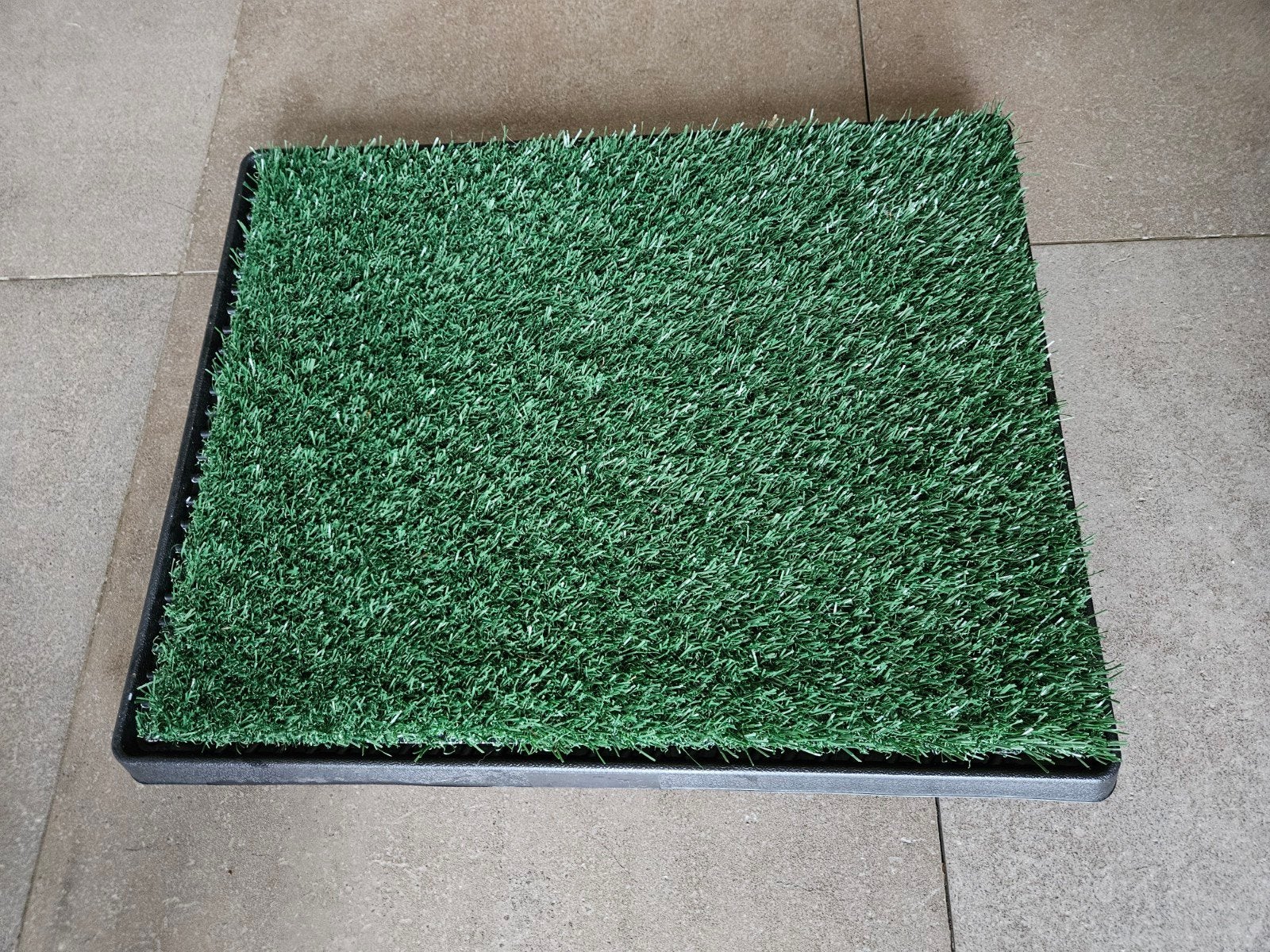 Hondentoilet kunstgras - nieuw, Dieren en Toebehoren, Overige merken, Ophalen, Nieuw, Overige typen