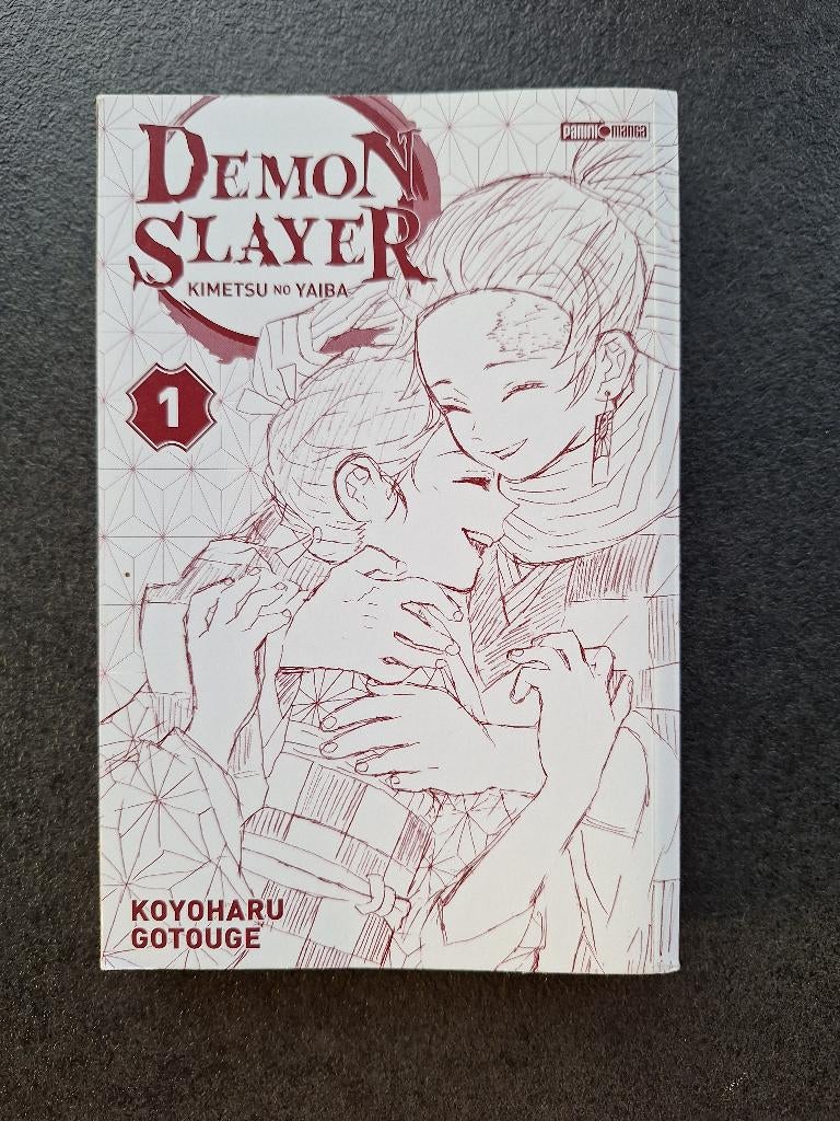 Demon slayer 1 - Koyoharu Gotouge, Koyoharu Gotouge, Zo goed als nieuw, Japan (Manga), Ophalen