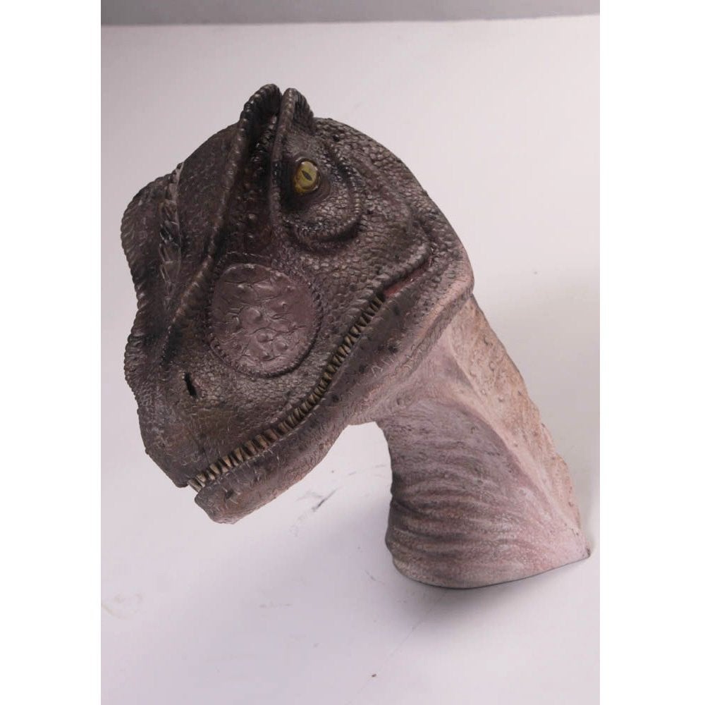 Allo Saurus Hoofd - Dinosaurusbeeld Lengte 59 cm, Ophalen, Nieuw