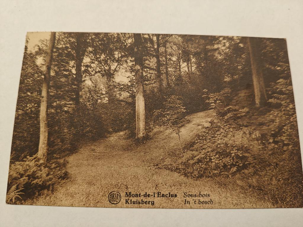 Postkaart Kluisbergen Mont-de-l'Enclus In 't bos vintage, Ophalen of Verzenden, 1920 tot 1940, Gelopen, Oost-Vlaanderen