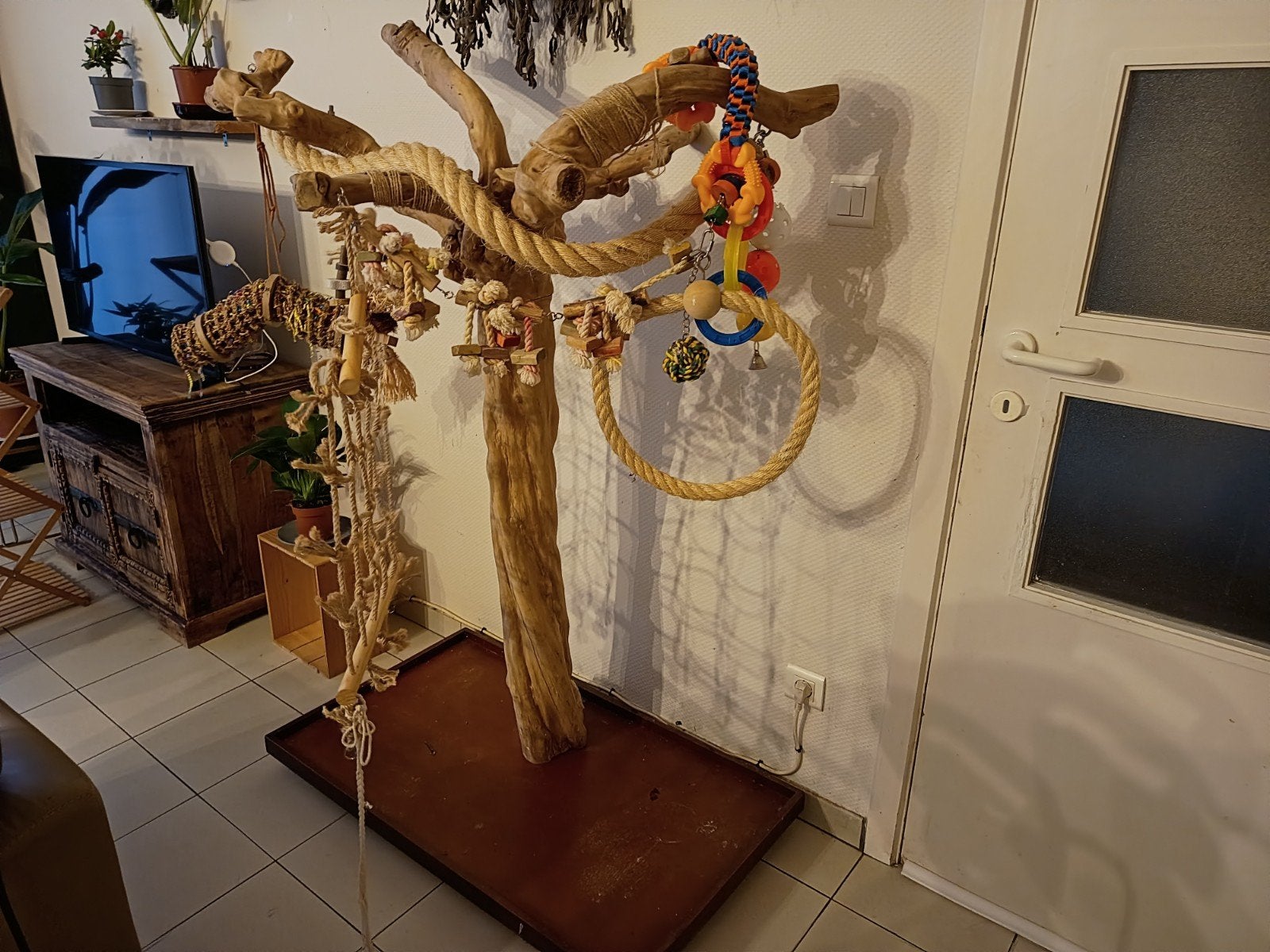 prachtige Java boom, Animaux & Accessoires, Enlèvement, Jouet