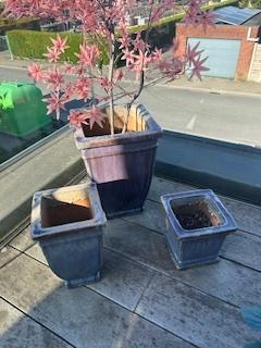 bloempotten, Tuin en Terras, Ophalen