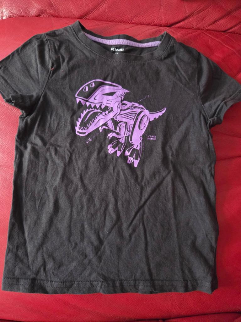 Tee-shirt dinosaure