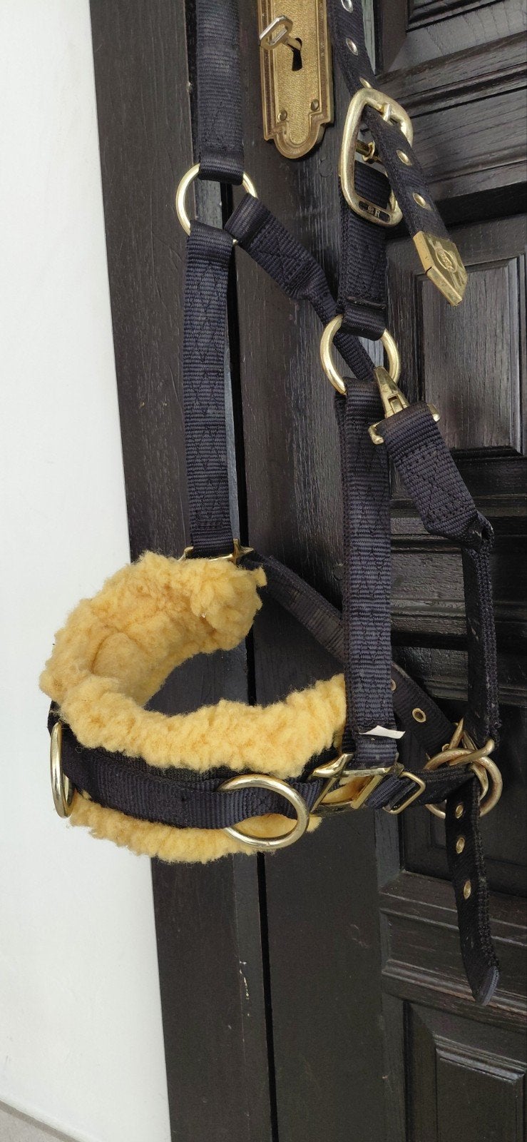 kaptoom, Dieren en Toebehoren