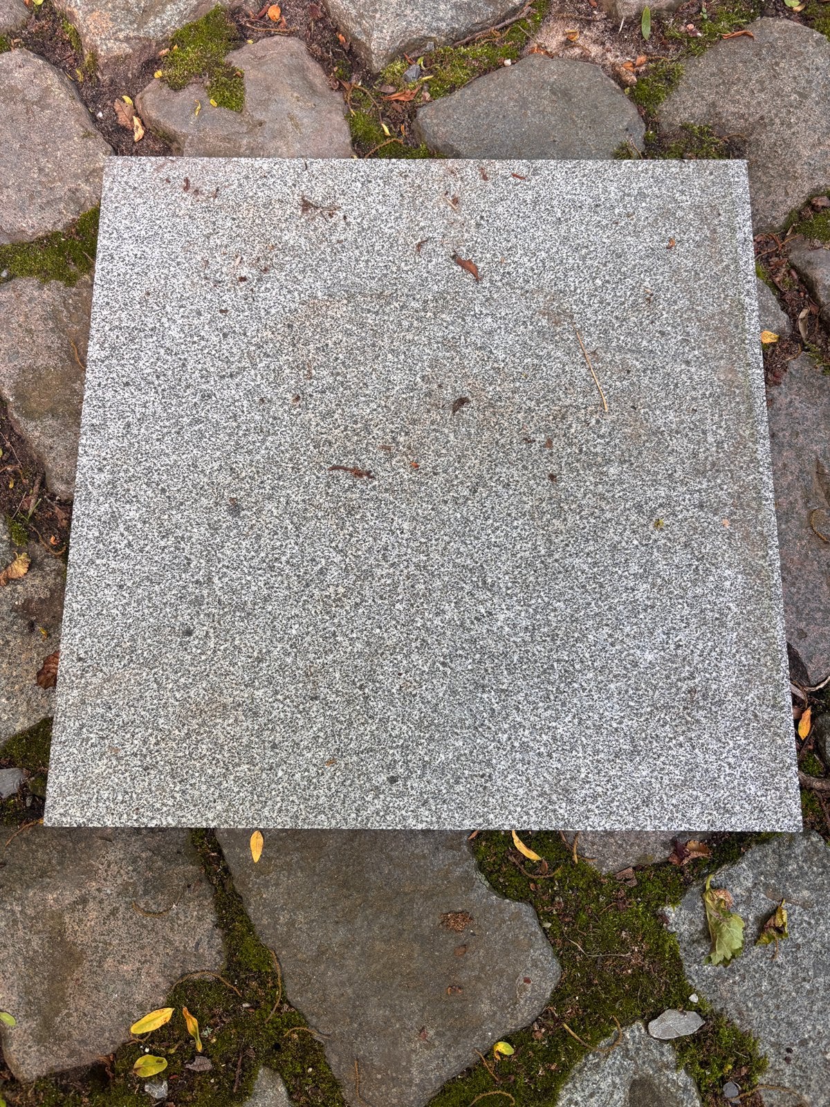 Graniet natuursteen tegel 40 x 40 x 2.cm, Enlèvement, Comme neuf, Granit