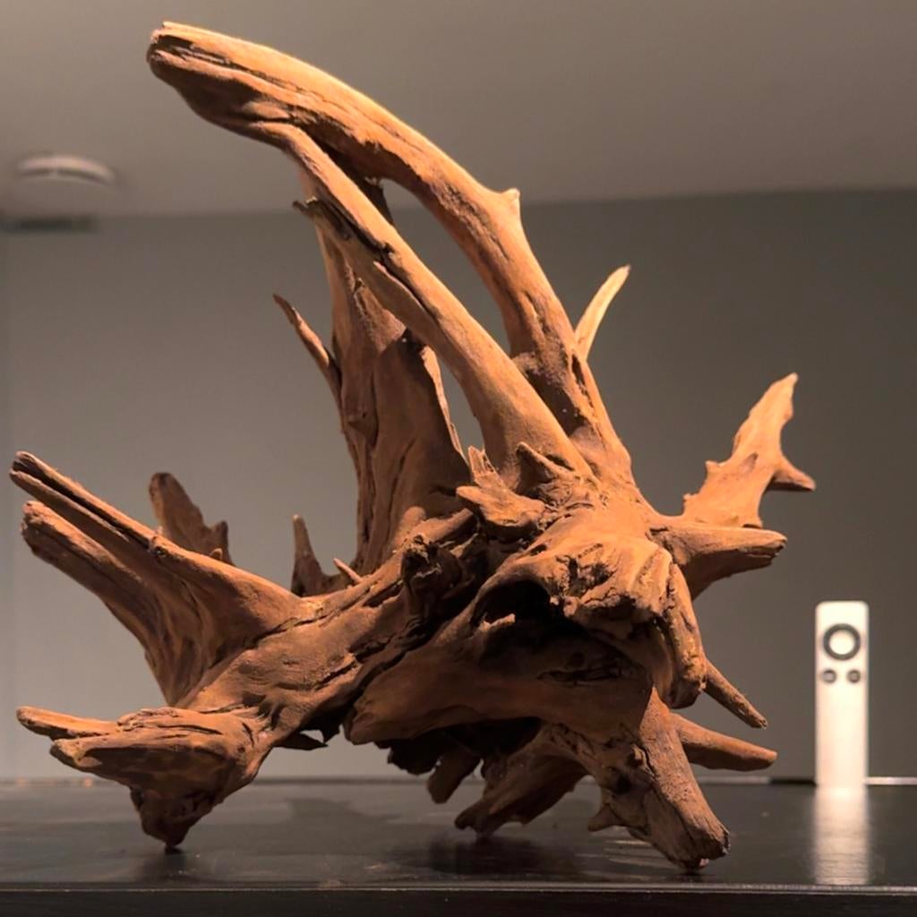 Uniek stuk Kienhout / Driftwood / Spiderwood, Hout Decoratie, Dieren en Toebehoren, Ophalen of Verzenden, Zo goed als nieuw, Decoratie