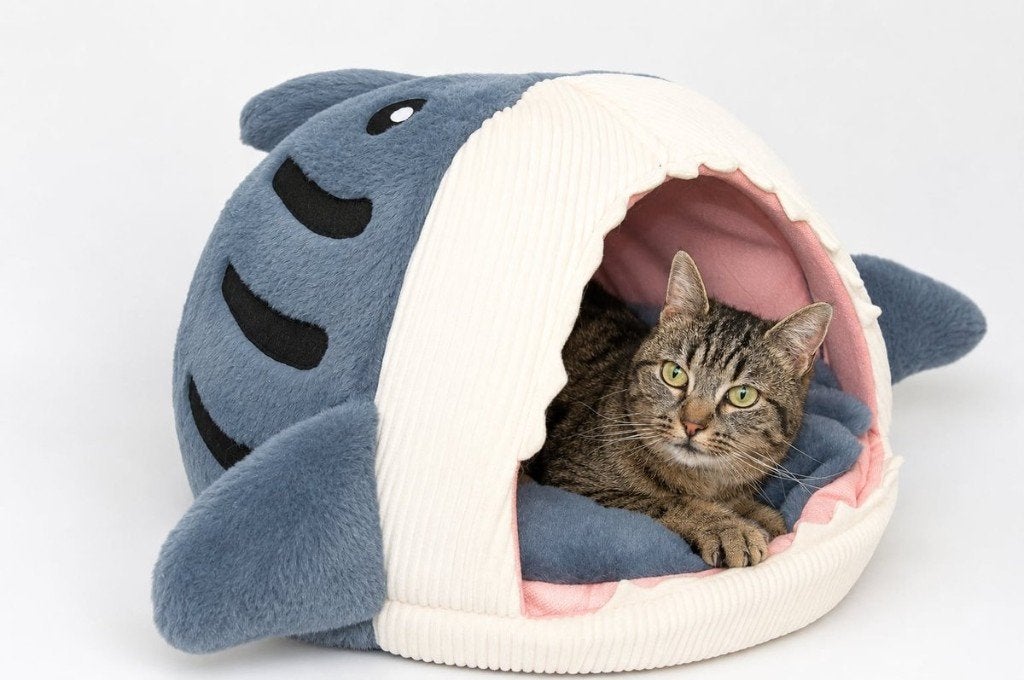 Lit en peluche en forme  requin pour chats et petits chiens, Enlèvement ou Envoi, Neuf, Coton