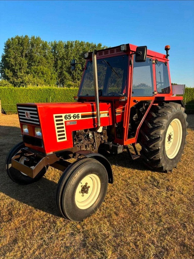 Tractor Fiat 65-66, Zakelijke goederen, Ophalen, Gebruikt, Tot 2500, Tot 80 Pk