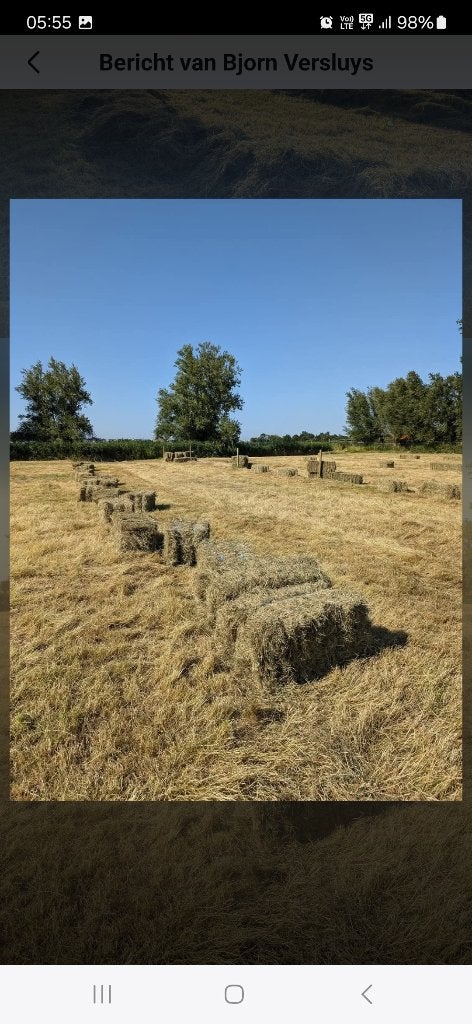 Kleine pakjes hooi te koop, Ophalen of Verzenden