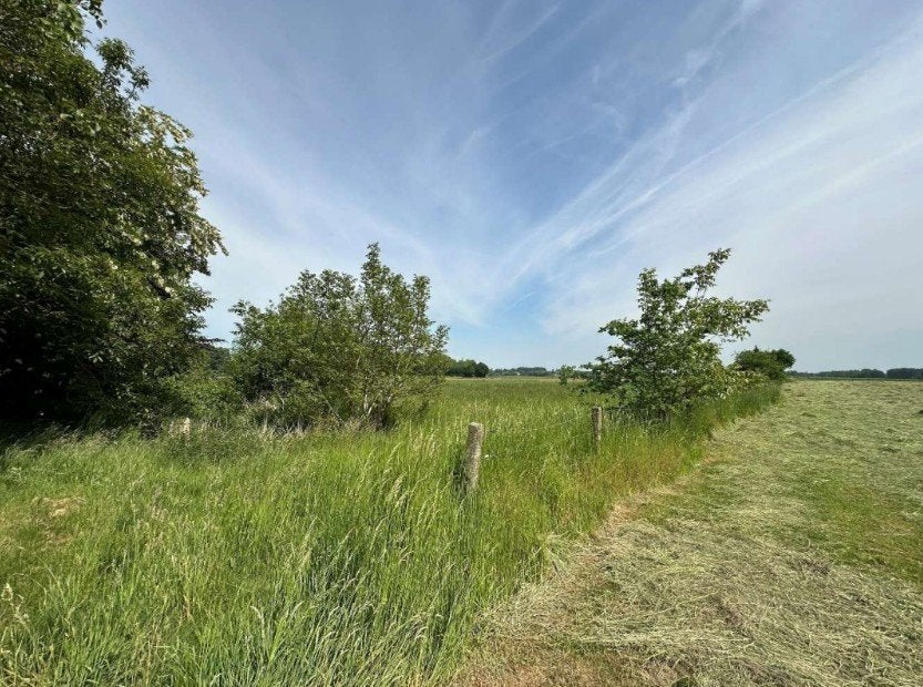 IN OPTIE Landbouwgrond te koop - Binkom - vrij van pacht, Lubbeek, Ventes sans courtier, 1500 m² ou plus