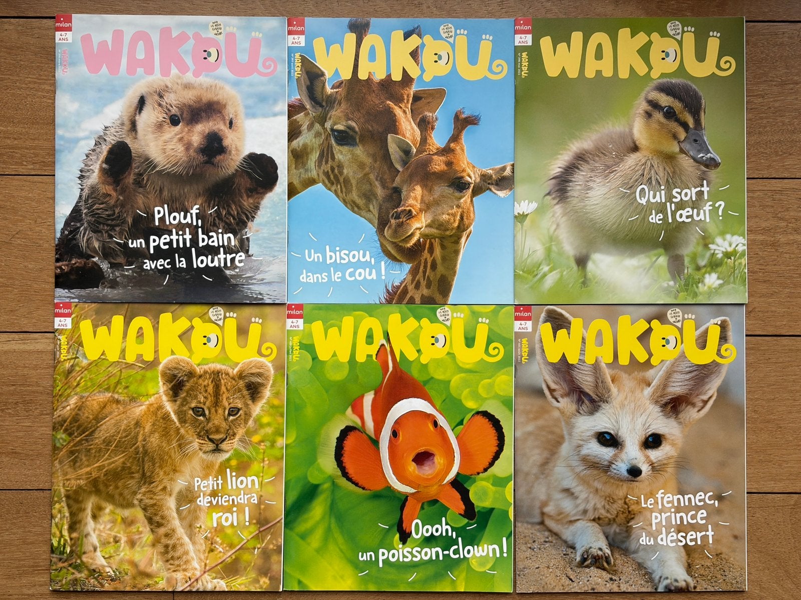 21 magazines Wakou – Neuf – vendu à l’unité, Boeken, Kinderboeken | Kleuters, Nieuw, Non-fictie, 4 jaar, Jongen of Meisje, Voorleesboek