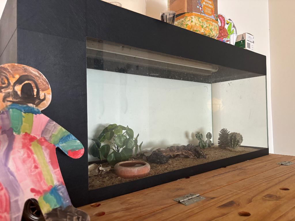 Terrarium, Enlèvement, Comme neuf, Terrarium ou Paludarium