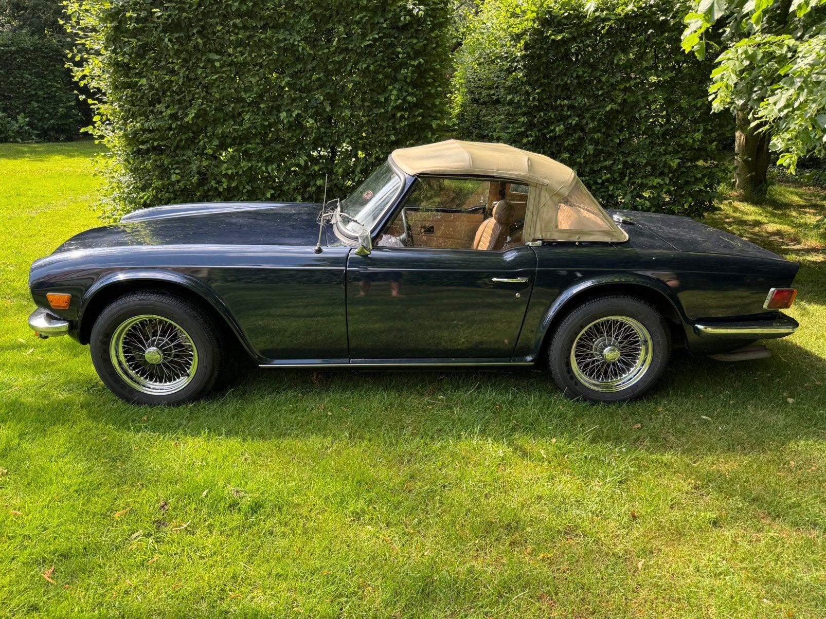 Triumph TR6, Achterwielaandrijving, Cabriolet, Blauw, Triumph