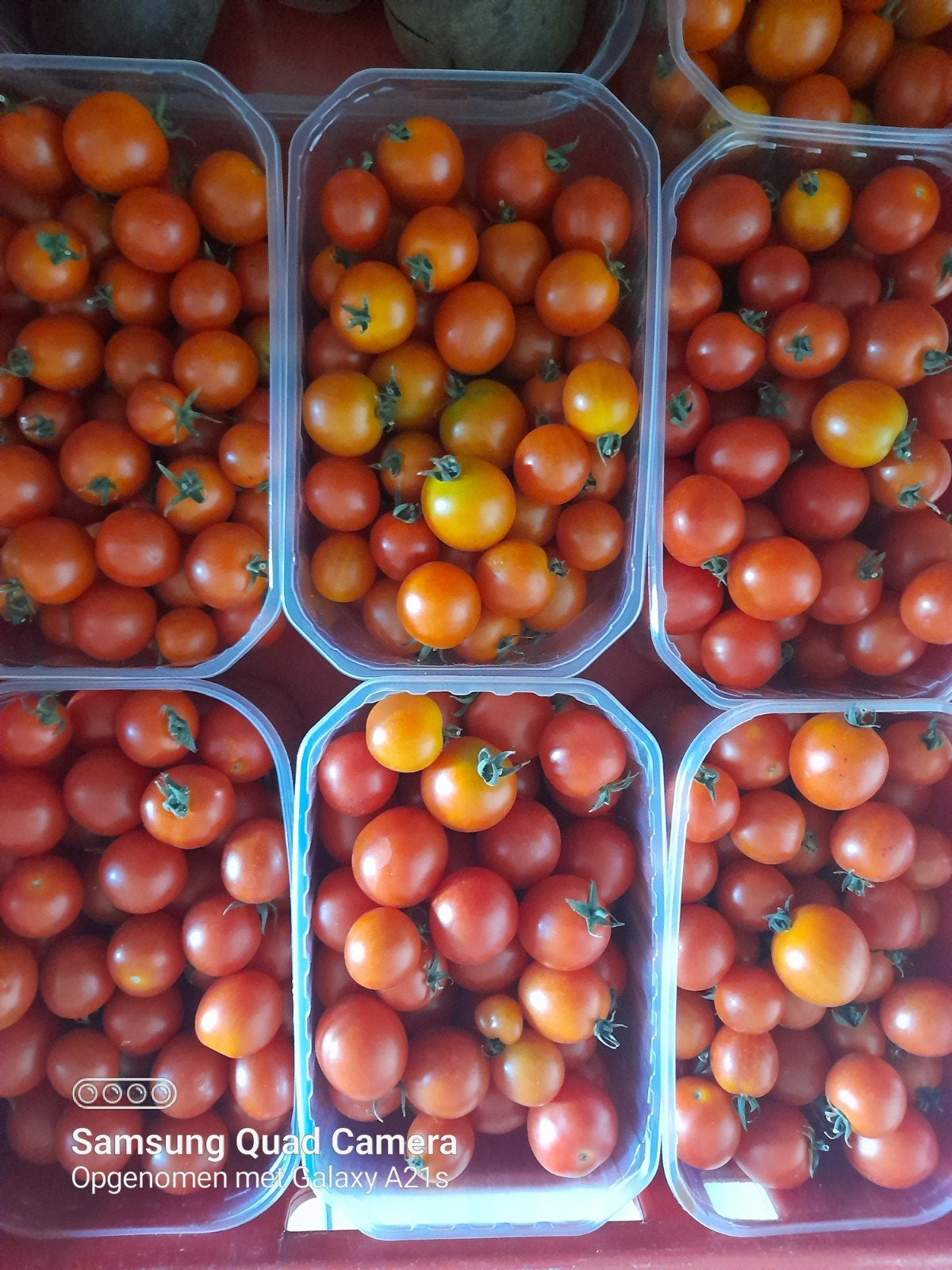 BIO- Tomates, haricots, betteraves, cornichons, concombres,, Enlèvement