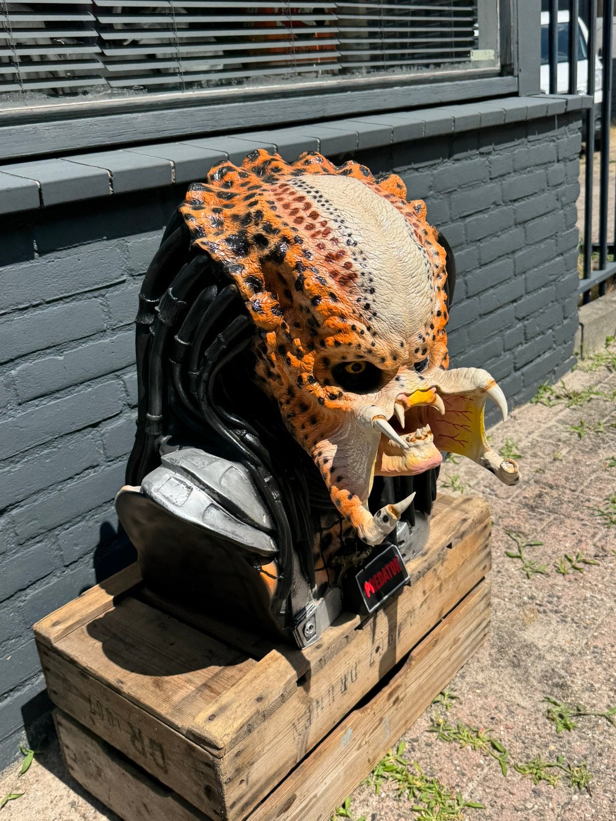 Predator groot Buste Beeld, Ophalen, Zo goed als nieuw, Film, Beeldje, Replica of Model