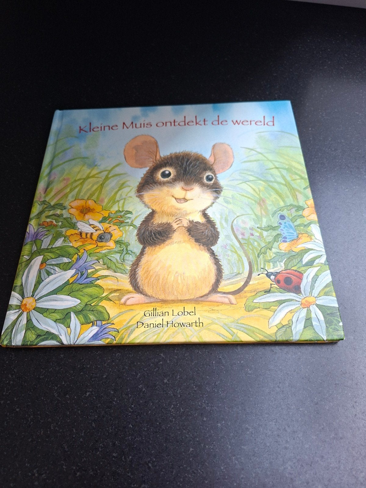 prentenboek kleine muis ontdekt de wereld, Boeken, Ophalen of Verzenden, Prentenboek