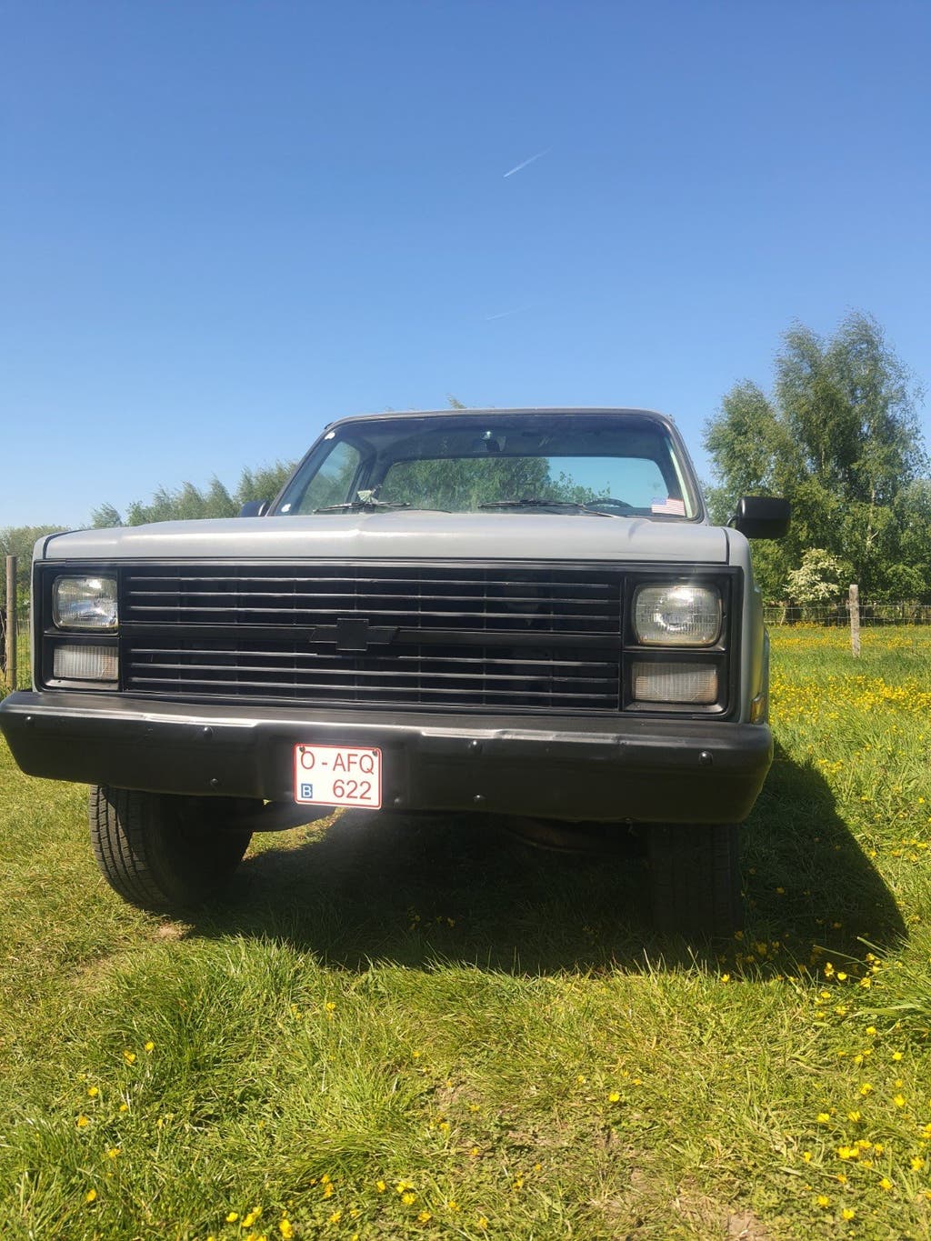 Chevrolet C20 1983, foto 8
