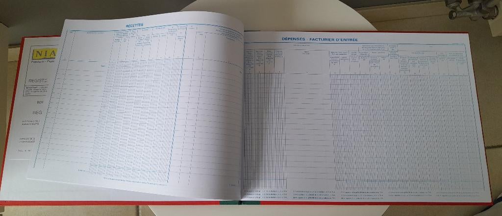 NIAS Dépenses - Facturier d'entrée - Recettes pour Avocat, Enlèvement, Neuf