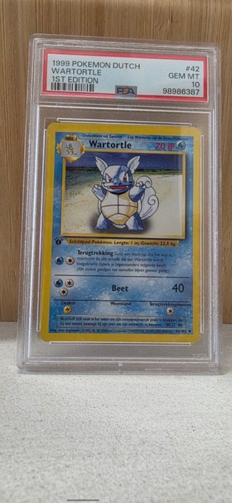Wartortle 42/102 Base Set 1ère édition néerlandaise PSA 10, Neuf, Enlèvement ou Envoi, Foil, Cartes en vrac