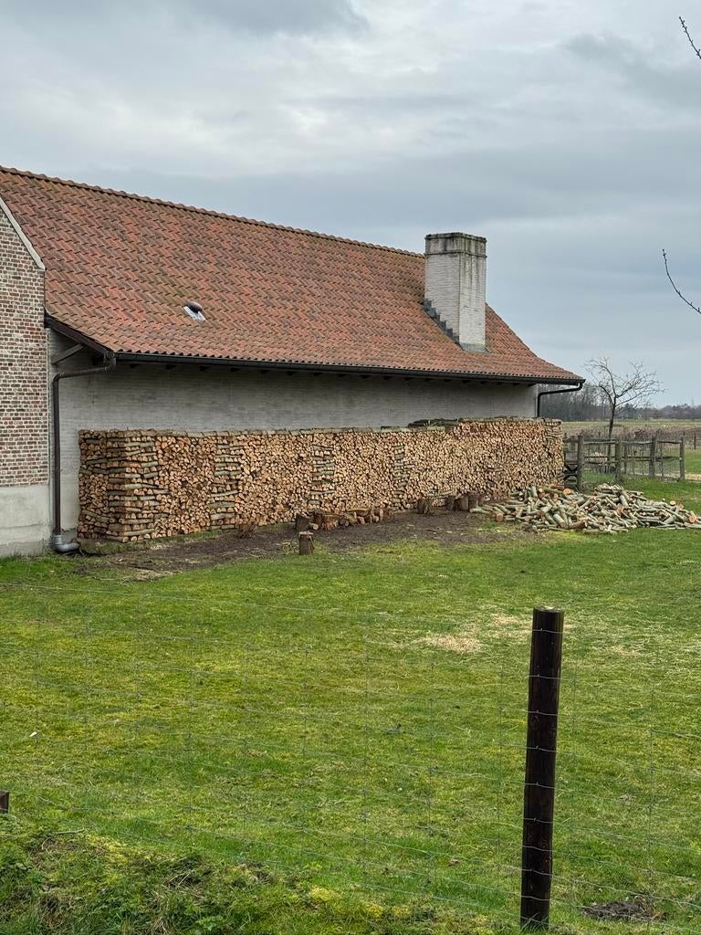 Mooie even lange knotwilgen blokken te koop! +- 40m3, Tuin en Terras, Ophalen, Blokken