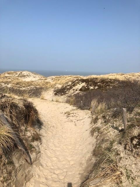 Oostduinkerke/ Nieuwpoort villa dijk 250m: last- minute -20%, Afwasmachine, Antwerpen of Vlaanderen, 7 personen, Overige