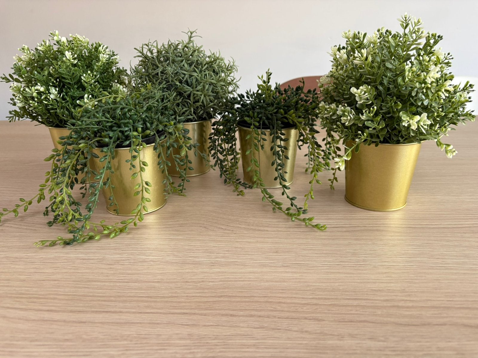 5 plastic plantjes met goudkleurige pot, Ophalen, Zo goed als nieuw