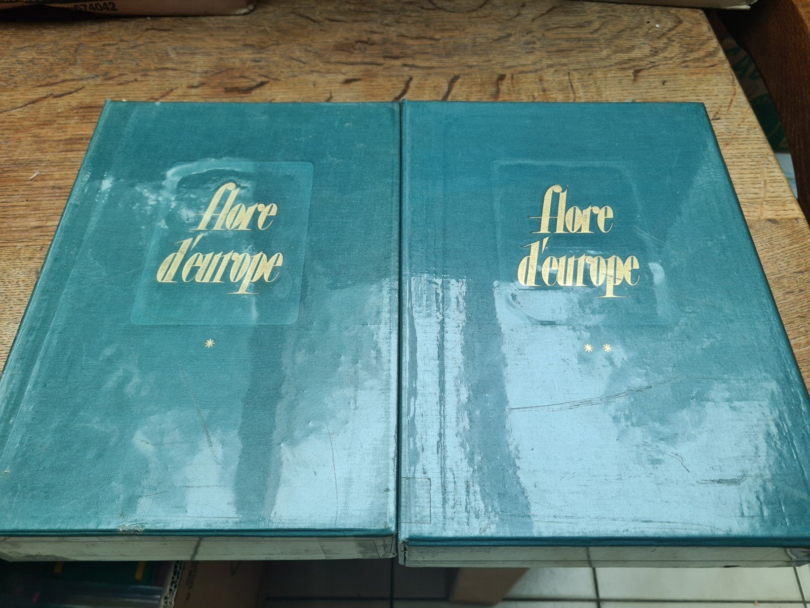 RARE – FLORE D’EUROPE – 2 TOMES COMPLETS – 312 PLANCHES, Livres, Enlèvement, Comme neuf, Général, Série complète