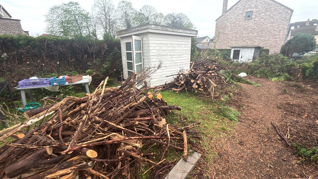 Hout voor de open haard, Diversen, Ophalen, Nieuw