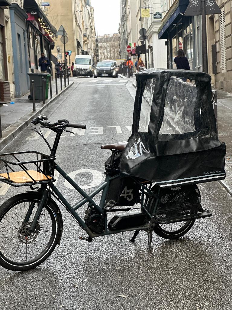 Vélo électrique longtail - cargo Bike43 Reconditionné, Enlèvement, Giant