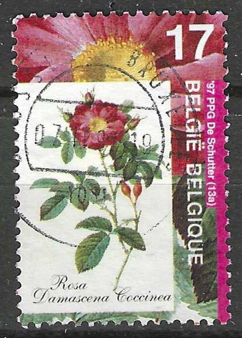 Belgique 1997 - Yvert 2709 /OBP 2708 - Flore - Roses (ST), Envoi, Affranchi, Oblitéré