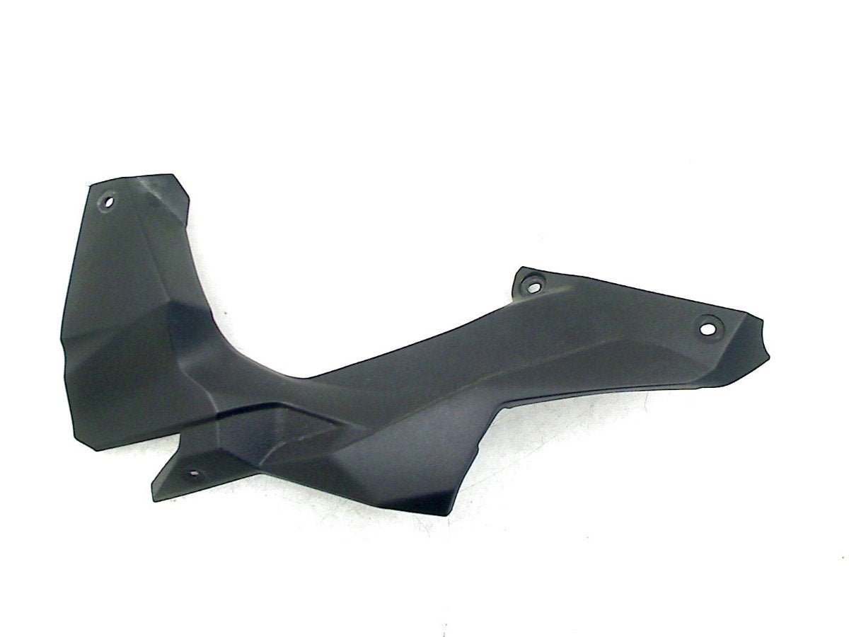 BINNENKUIPDEEL LINKS Z H2 2020 (ZR1000KLF) (55028-0746), Kawasaki Motors Europe N.V., Gebruikt, Info@kawasaki.eu, Jacobus Spijkerdreef 1-3
2132 PZ  Hoofddorp, JP