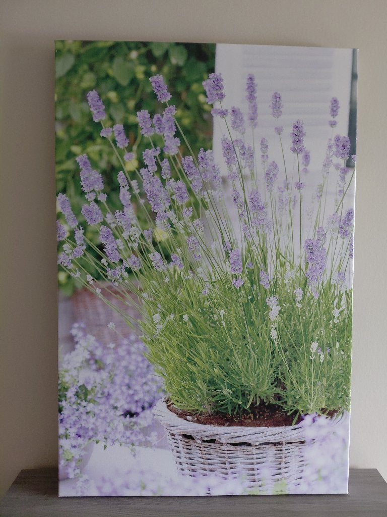 Canvas met lavendel, Huis en Inrichting, Ophalen, Overige typen, Zo goed als nieuw, 75 – 100