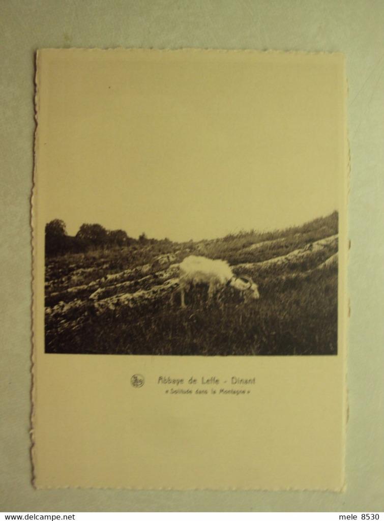 47909 - DINANT - ABBAYE DE LEFFE - SOLITUDE DANS LA MONTAGNE, Collections, Envoi