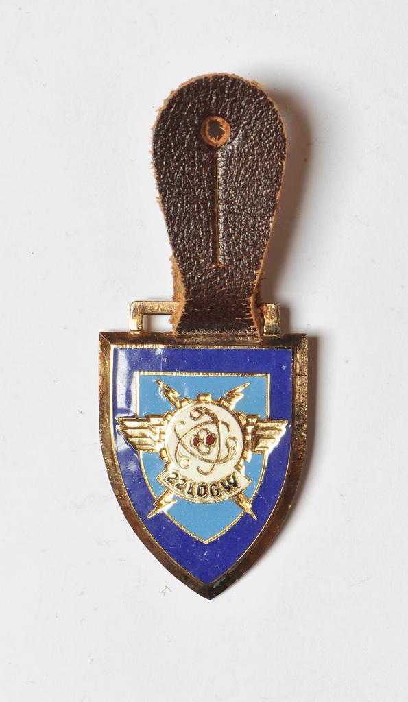 22 Log Wing - Borsthanger (2), Verzenden, Luchtmacht, Lintje, Medaille of Wings