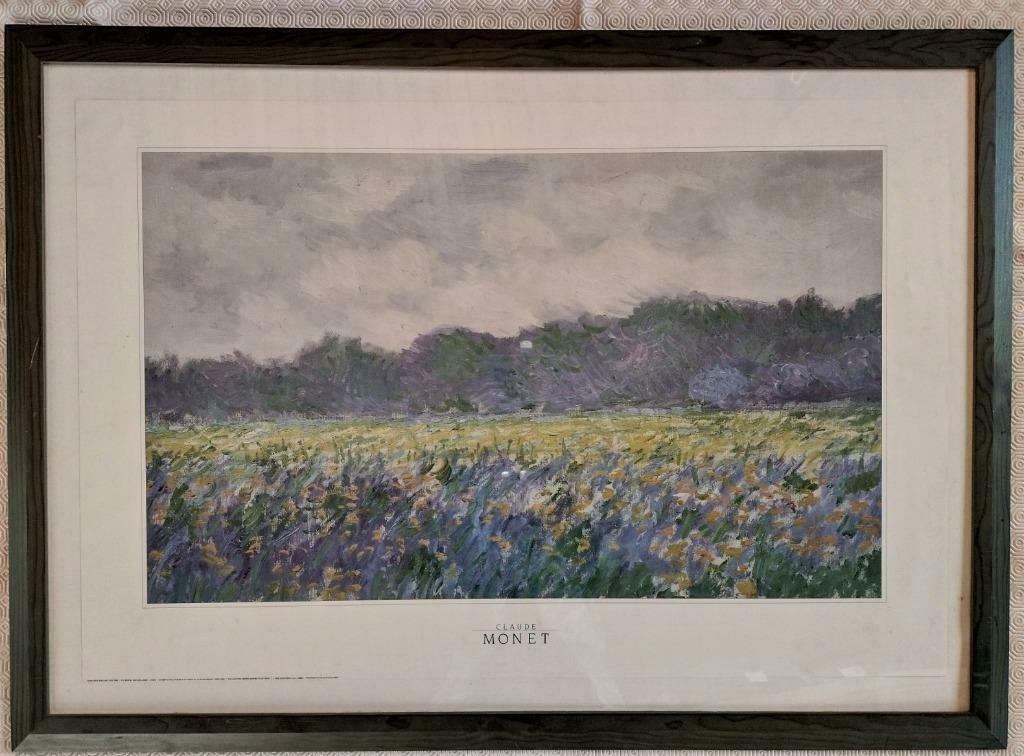 Grand cadre et reproduction Monet * Champ d’Iris Jaunes, Enlèvement