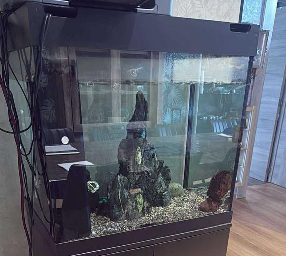 Aquarium juwel lido 200, Ophalen, Zo goed als nieuw