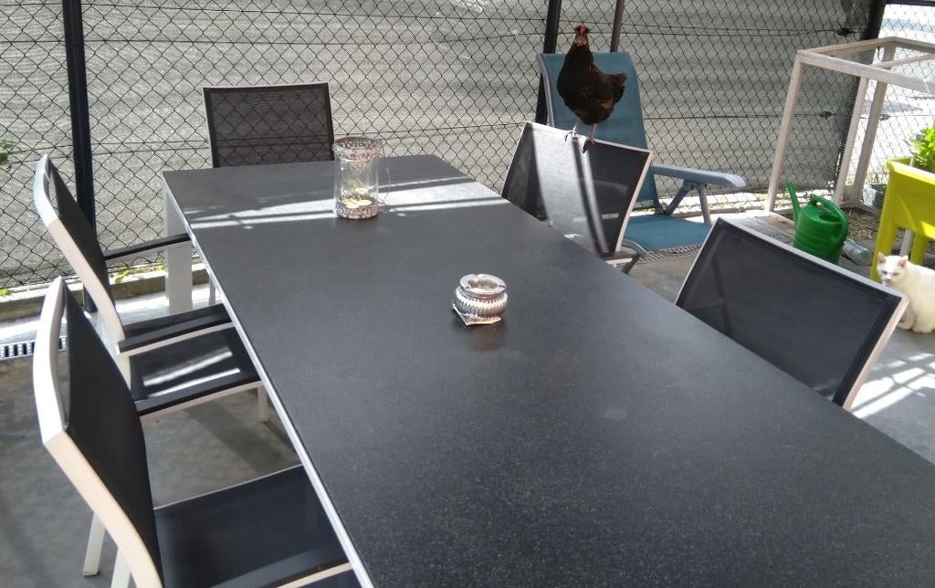 tuintafel + 6 stoelen, Ophalen, Gebruikt, 6 zitplaatsen, Aluminium