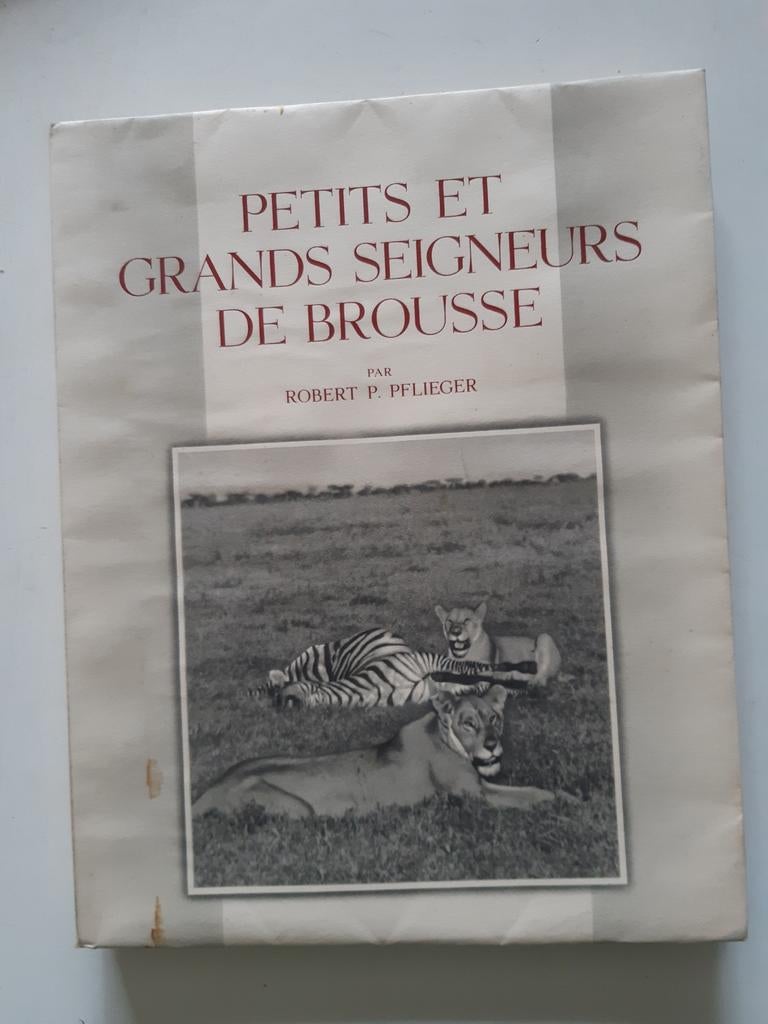 Petits et grands seigneurs de brousse, Enlèvement ou Envoi