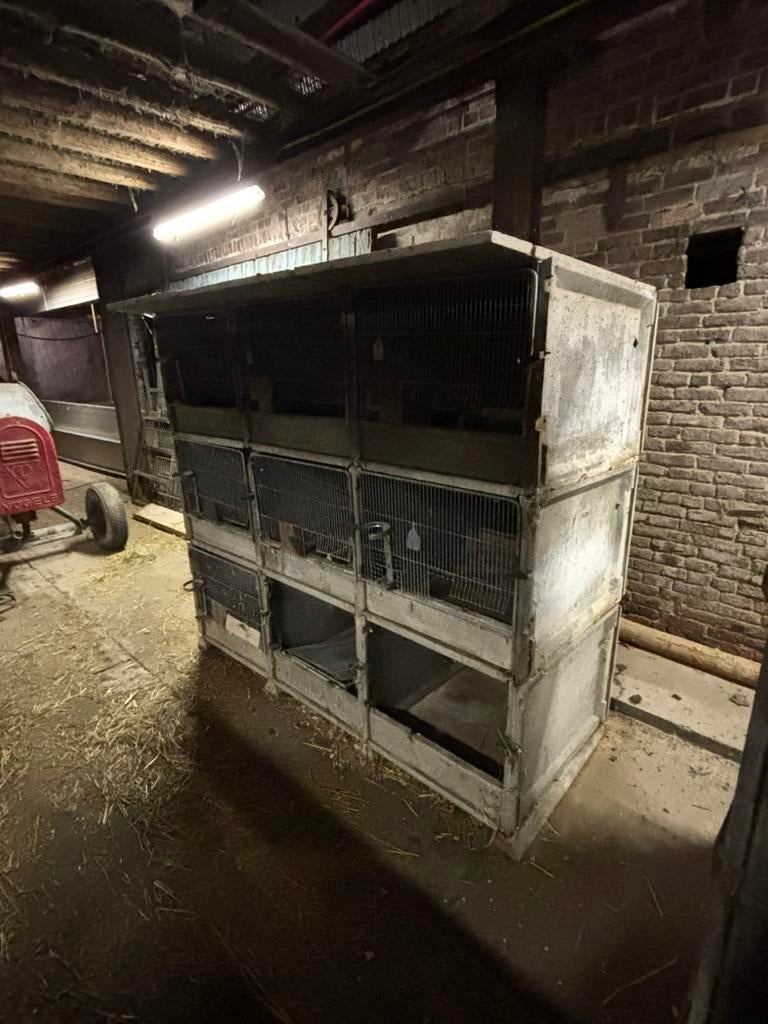 Clapier en béton pour lapin, Enlèvement, Comme neuf, Lapin