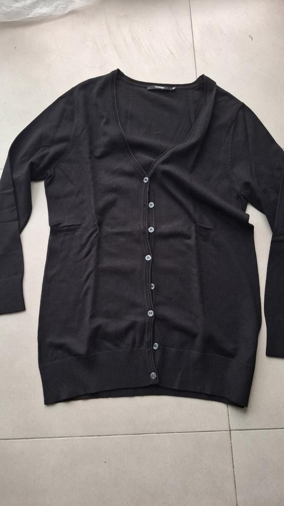 Trui Clarina, Kleding | Dames, Zwart, Maat 42/44 (L), Ophalen of Verzenden, Clarina collection