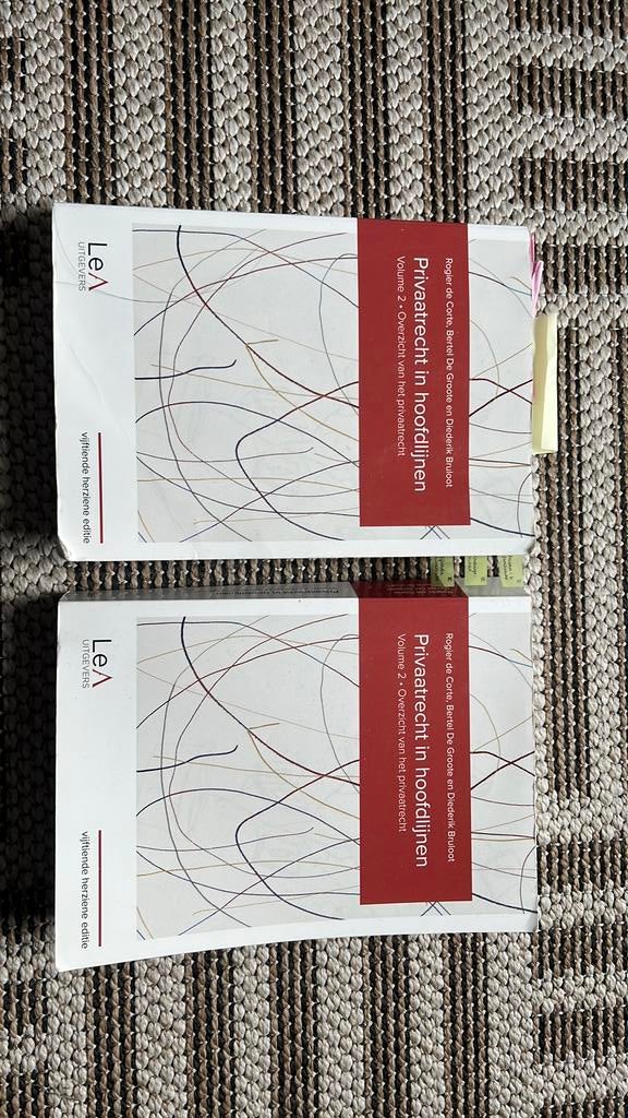 Rogier de Corte - Privaatrecht in hoofdlijnen 15de editie, Boeken, Studieboeken en Cursussen, Ophalen of Verzenden, Rogier de Corte; Bertel De Groote; Diederik Bruloot