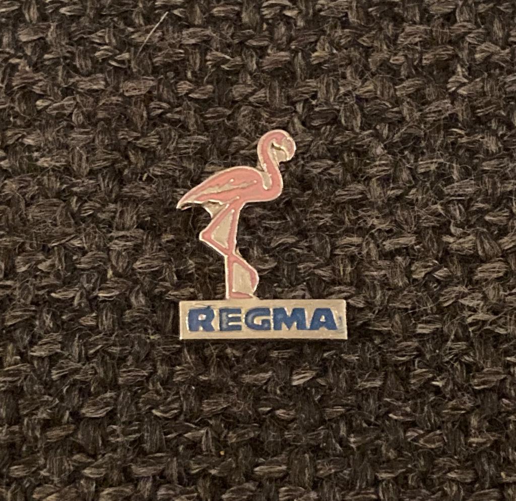 PIN - REGMA - OOIEVAAR - CIGOGNE, Envoi, Utilisé, Autres sujets/thèmes, Insigne ou Pin's