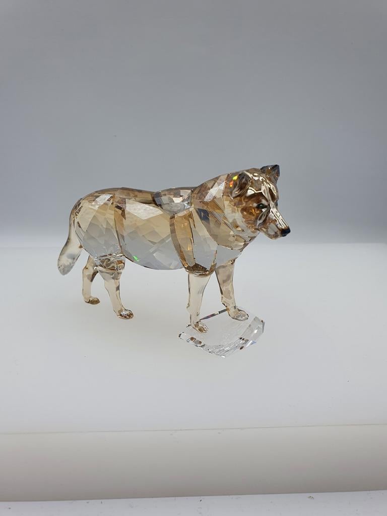 Swarovski Grijze wolf SCS 2019., Verzamelen, Swarovski, Ophalen of Verzenden, Nieuw